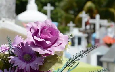 What to Do After Experiencing the Sudden Death of a Loved One